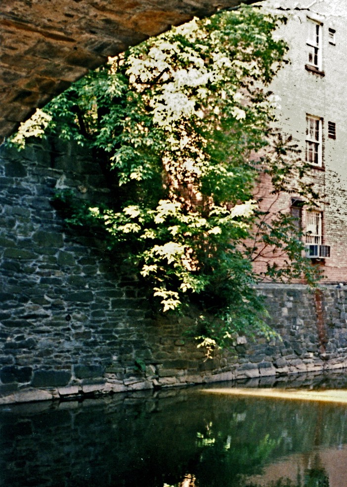 1986-05-E11
