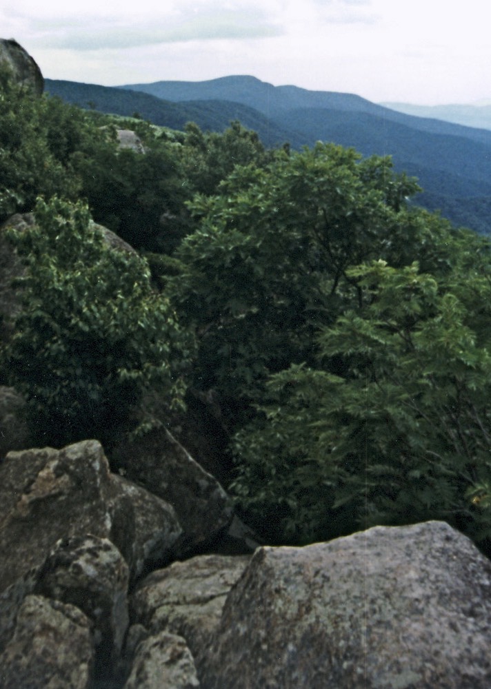 1986-07-C17