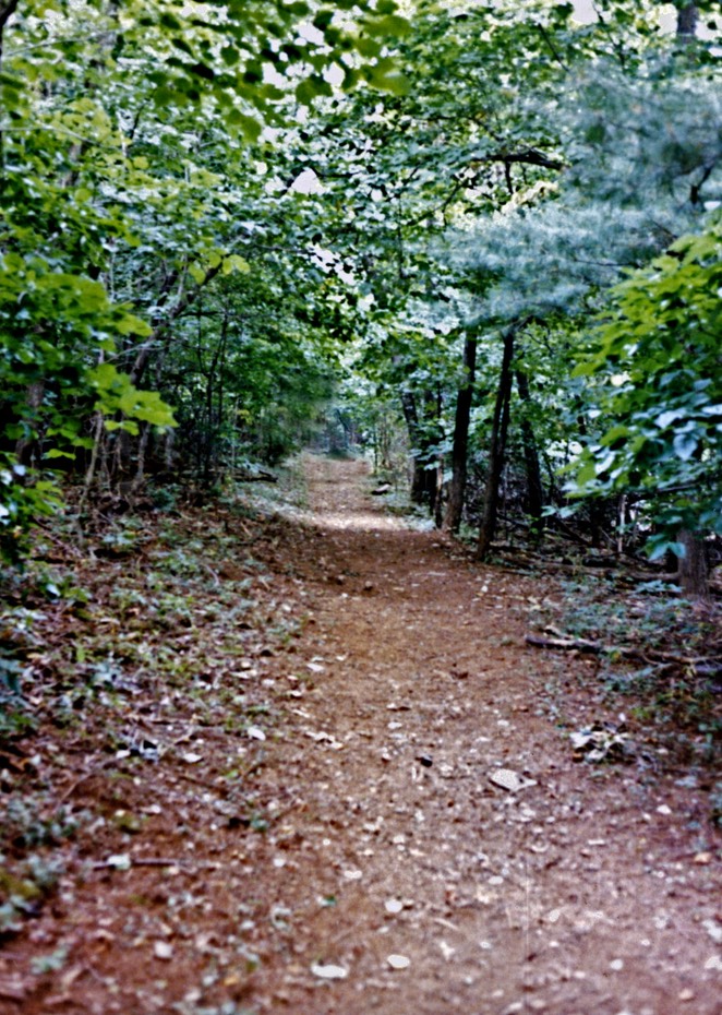 1986-08-A02