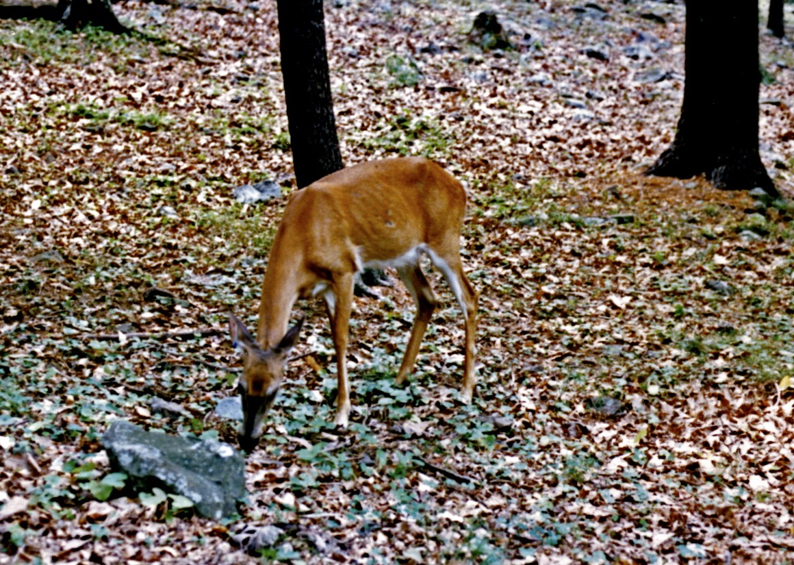1986-08-A27