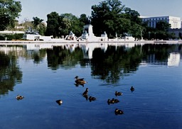 1987-05-B06