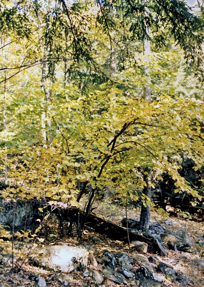 1987-10-A22