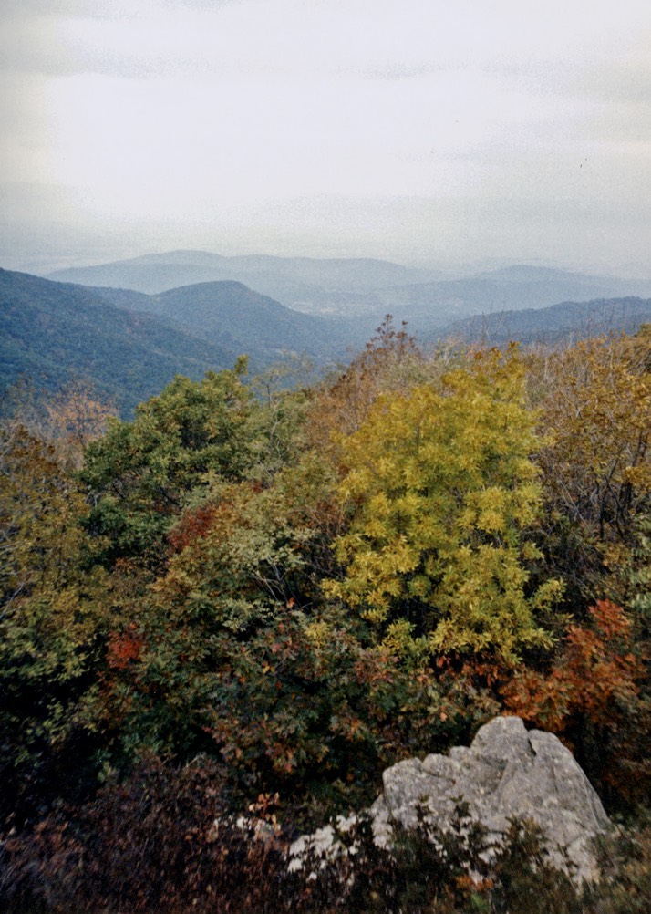 1987-10-A45