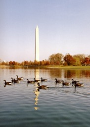 1987-11-B02