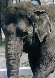 1988-05-A02