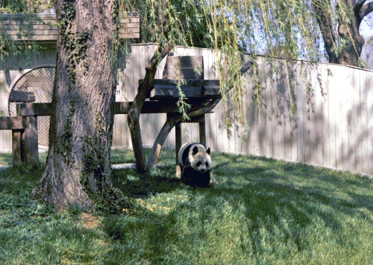 1988-05-A14