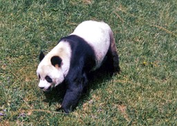 1988-05-A16
