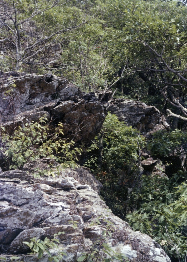 1988-07-A09