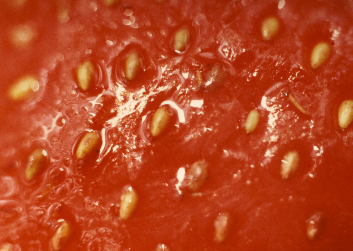 1988-08-B01.jpg