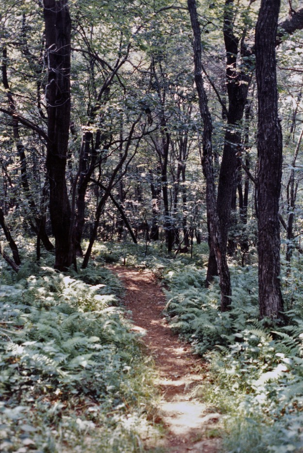 1988-08-B07