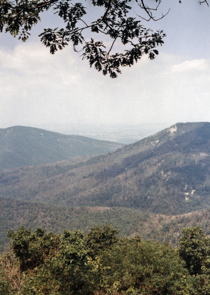 1988-08-B33