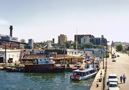 1988-08-C20