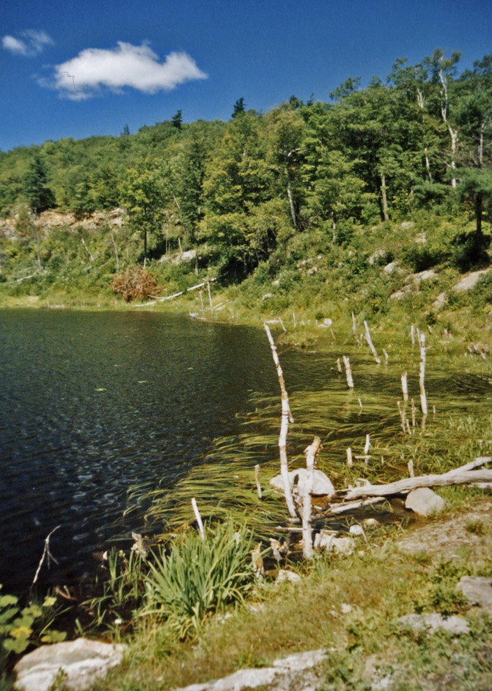1988-09-A36