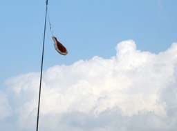 2-42