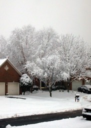 2010-02-A001.jpg
