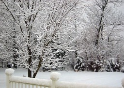 2010-02-A002.jpg