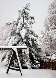 2010-02-A003.jpg