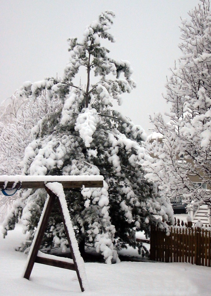 2010-02-A003.jpg