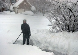 2010-02-A004.jpg