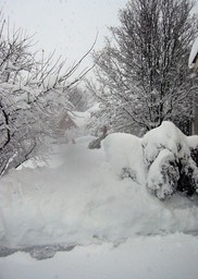 2010-02-A006.jpg