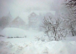 2010-02-A008.jpg