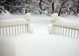 2010-02-A009.jpg