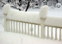 2010-02-A010.jpg