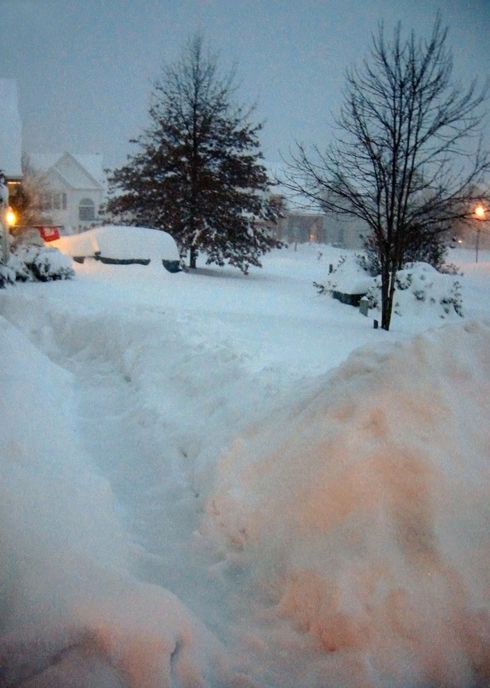2010-02-A013.jpg