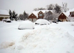2010-02-A014.jpg