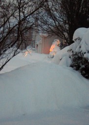 2010-02-A016.jpg
