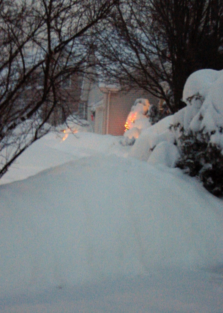2010-02-A016.jpg