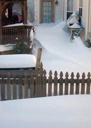 2010-02-A017.jpg