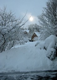 2010-02-A018.jpg