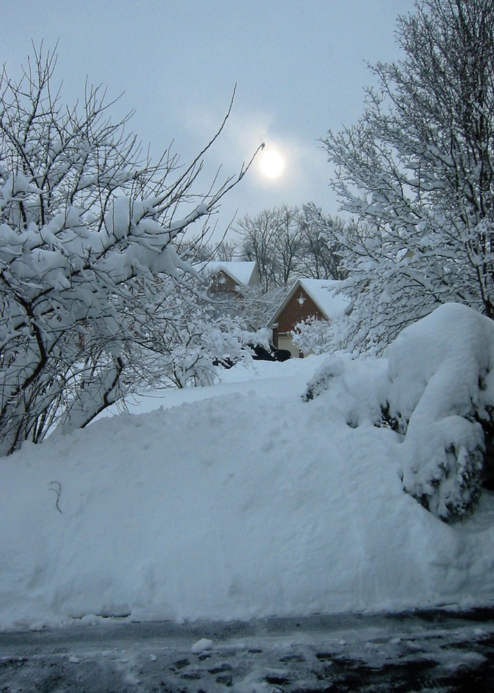 2010-02-A018.jpg