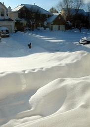 2010-02-A019.jpg