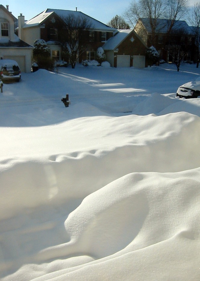 2010-02-A019.jpg