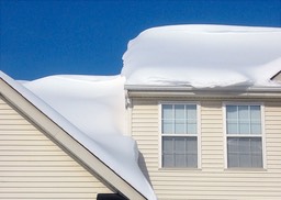 2010-02-A021.jpg