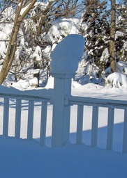 2010-02-A022.jpg