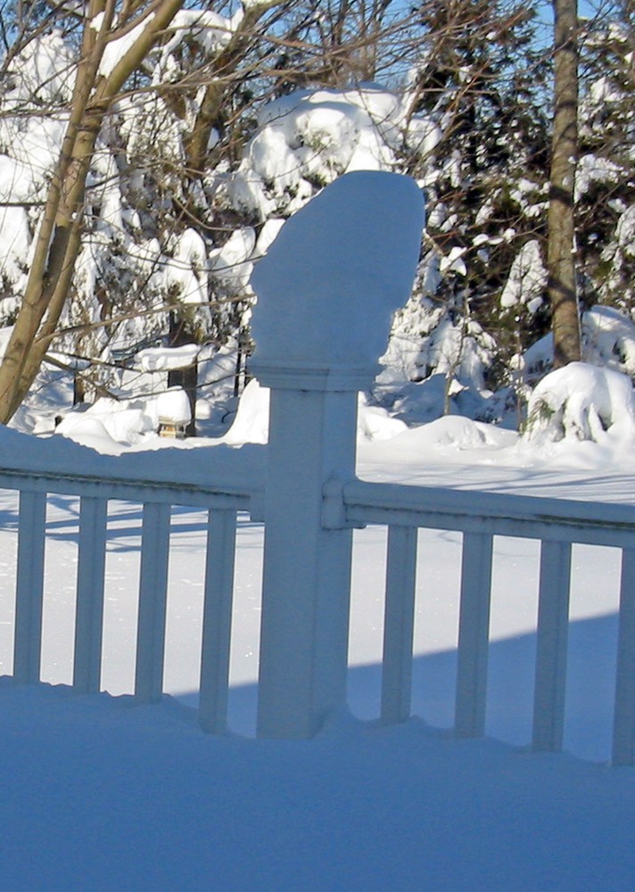 2010-02-A022.jpg
