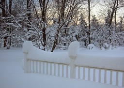 2010-02-A023.jpg