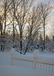 2010-02-A024.jpg