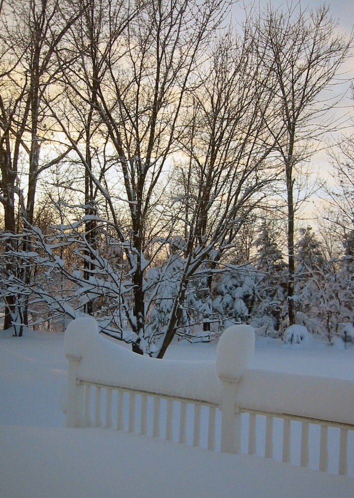 2010-02-A024.jpg