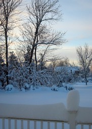 2010-02-A025.jpg