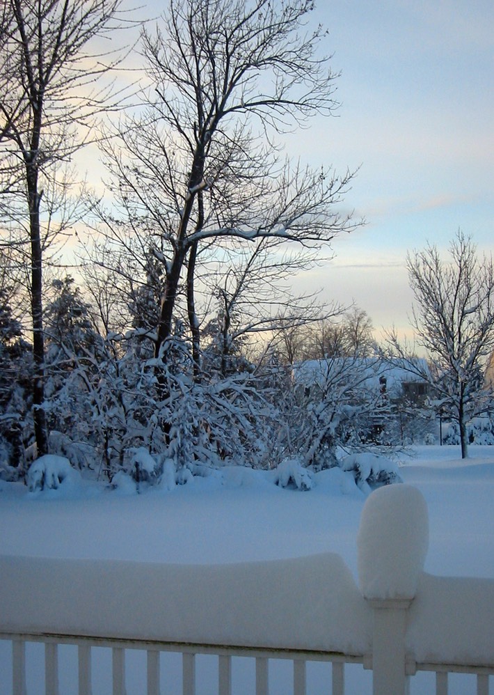 2010-02-A025.jpg