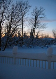 2010-02-A026.jpg
