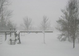 2010-02-B002.jpg
