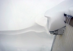 2010-02-B003.jpg