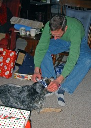 2010-12-A05.jpg