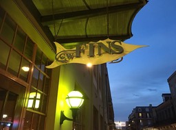 6-Fins