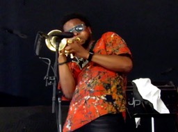 Brown 12